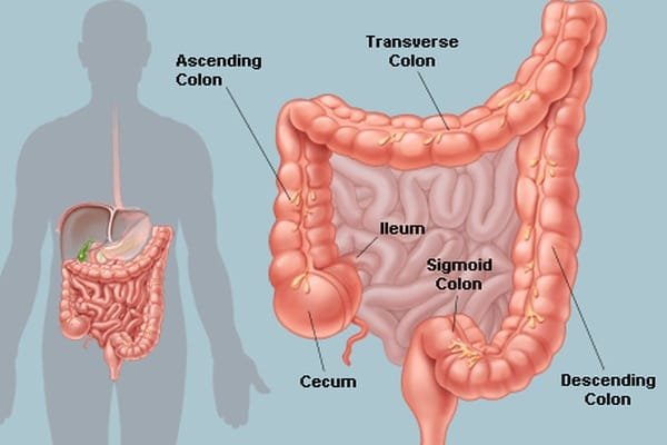 What to Use to Cleanse Your Colon